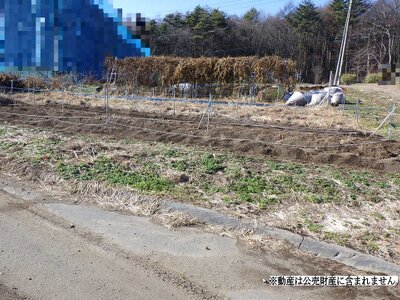 長野県小諸市 平原駅 農地 120万円の国税庁公売物件 #2