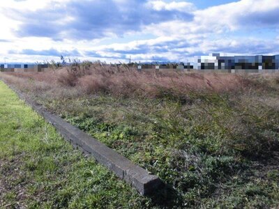 群馬県高崎市 群馬総社駅 農地 139万円の国税庁公売物件 #2