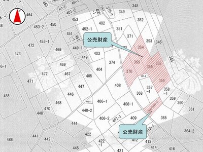 (値下げ) 滋賀県甲賀市 勅旨駅4分 農地 165万円の国税庁公売物件 #4