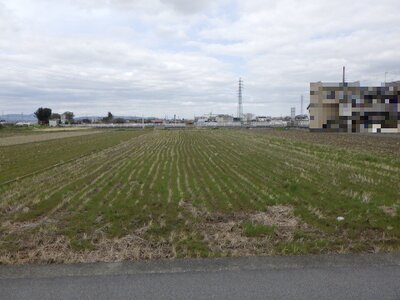 奈良県大和高田市 松塚駅12分 農地 770万円の国税庁公売物件 #1