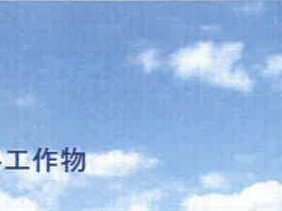 沖縄県中頭郡中城村 てだこ浦西駅 農地 115万円の競売物件 #10