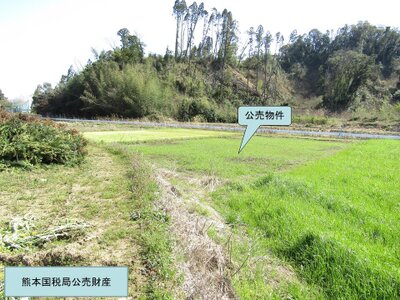 宮崎県宮崎市 宮崎神宮駅 農地 10万円の国税庁公売物件 #3