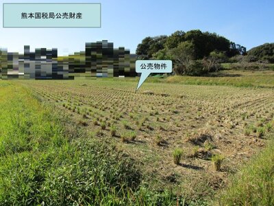 (値下げ) 大分県大分市 大在駅 農地 60万円の国税庁公売物件 #5