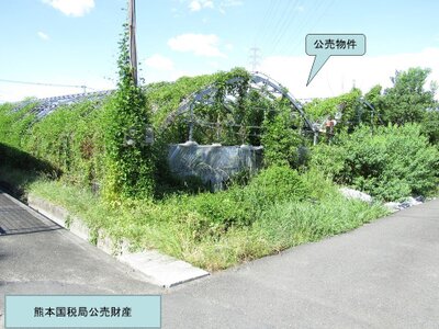 (値下げ) 熊本県八代市 八代駅11分 農地 254万円の国税庁公売物件 #1