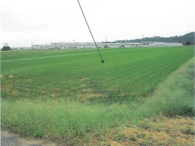 富山県滑川市 東滑川駅 農地 63万円の競売物件 #3