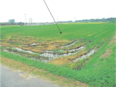 富山県滑川市 東滑川駅 農地 48万円の競売物件 #3