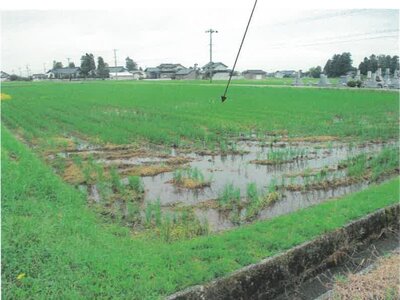 富山県滑川市 東滑川駅 農地 47万円の競売物件 #2