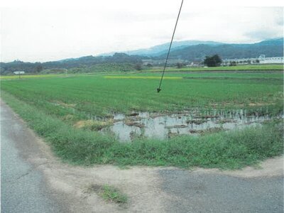 富山県滑川市 東滑川駅 農地 47万円の競売物件 #4