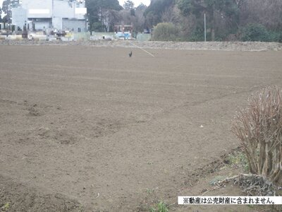 千葉県八街市 福俵駅 農地 75万円の国税庁公売物件 #2