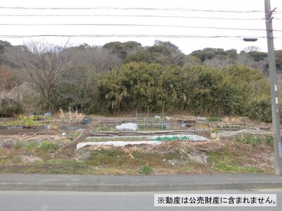 (値下げ) 神奈川県横須賀市 衣笠駅 農地 100万円の国税庁公売物件 #1