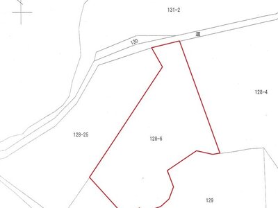 千葉県八街市 福俵駅 農地 350万円の国税庁公売物件 #3