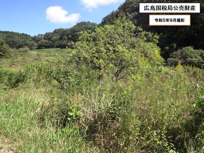 (値下げ) 岡山県加賀郡吉備中央町 農地 15万円の国税庁公売物件 #4