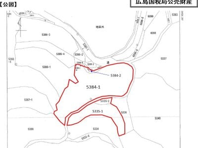 (値下げ) 岡山県加賀郡吉備中央町 農地 20万円の国税庁公売物件 #3