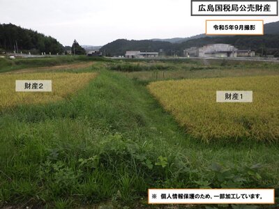 (値下げ) 岡山県加賀郡吉備中央町 農地 25万円の国税庁公売物件 #4