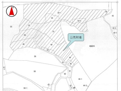 (値下げ) 静岡県静岡市葵区 古庄駅 農地 761万円の国税庁公売物件 #5