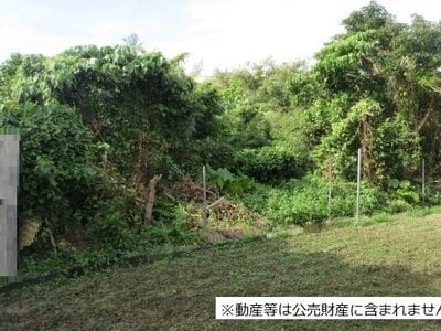 沖縄県中頭郡北中城村 てだこ浦西駅 農地 136万円の国税庁公売物件 #1