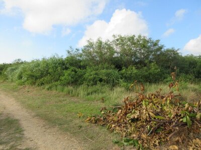 沖縄県宮古島市 農地 188万円の国税庁公売物件 #1