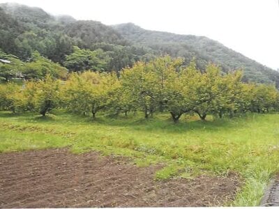 (値下げ) 長野県上田市 別所温泉駅 農地 92万円の競売物件 #18