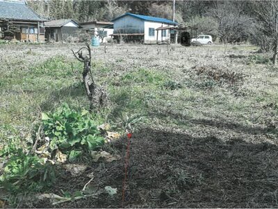 (値下げ) 岐阜県関市 富加駅20分 農地 14万円の競売物件 #1