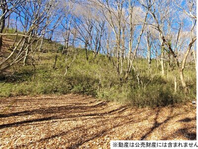 (値下げ) 栃木県那須郡那須町 豊原駅 土地 50万円の国税庁公売物件 #1