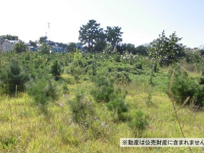 (値下げ) 青森県三沢市 三沢駅 土地 280万円の国税庁公売物件 #2