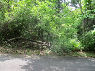 (値下げ) 群馬県吾妻郡嬬恋村 大前駅 土地 15万円の官公庁公売物件 #1