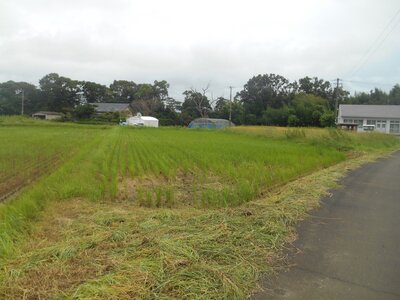 宮崎県宮崎市 佐土原駅 農地 21万円の官公庁公売物件 #1