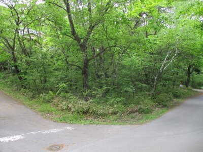 (値下げ) 群馬県吾妻郡嬬恋村 大前駅 土地 30万円の官公庁公売物件 #1