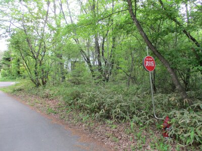 (値下げ) 群馬県吾妻郡嬬恋村 大前駅 土地 30万円の官公庁公売物件 #3