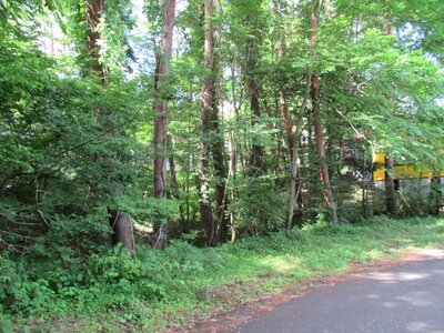 (値下げ) 山梨県南都留郡鳴沢村 河口湖駅 土地 97万円の官公庁公売物件 #2