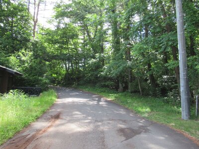 (値下げ) 山梨県南都留郡鳴沢村 河口湖駅 土地 97万円の官公庁公売物件 #3