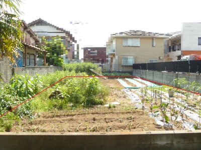 千葉県八街市 八街駅9分 土地 277万円の官公庁公売物件 #6