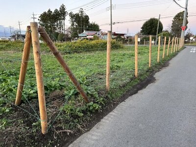 栃木県那須塩原市 黒磯駅26分 農地 4,330万円の国有財産物件 #2