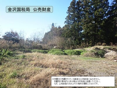 富山県富山市 上滝駅20分 土地 15万円の国税庁公売物件 #2