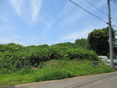 (値下げ) 千葉県山武市 日向駅30分 土地 31万円の国税庁公売物件 #1