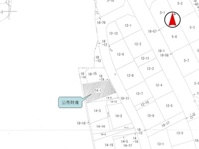 (値下げ) 千葉県山武市 日向駅30分 土地 31万円の国税庁公売物件 #2