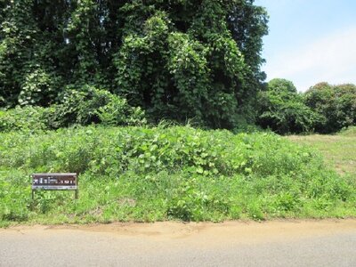 (値下げ) 千葉県山武市 日向駅30分 土地 32万円の国税庁公売物件 #1