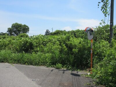 (値下げ) 千葉県山武市 日向駅28分 土地 85万円の国税庁公売物件 #2