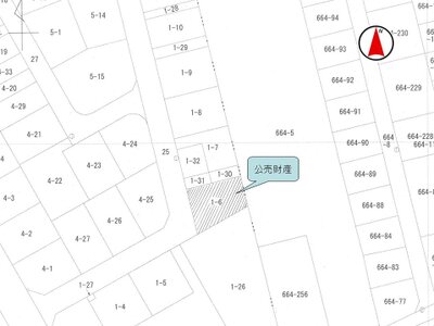 (値下げ) 千葉県山武市 日向駅28分 土地 85万円の国税庁公売物件 #3