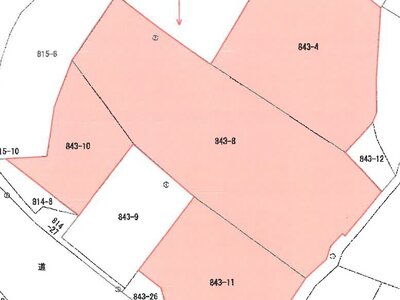 宮崎県都城市 高崎新田駅10分 土地 136万円の競売物件 #2