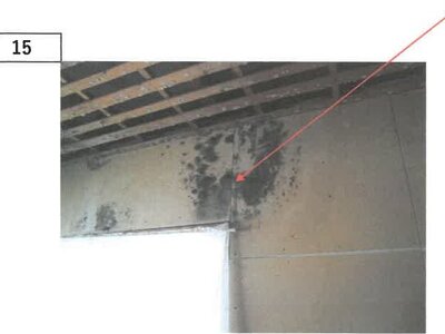 (値下げ) 徳島県板野郡上板町 板野駅 一戸建て 160万円の競売物件 #12