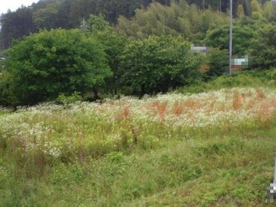 (値下げ) 栃木県那須烏山市 大金駅 農地 4万円の国税庁公売物件 #1