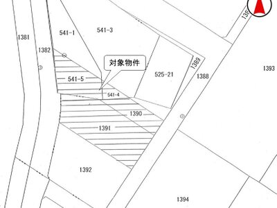 (値下げ) 新潟県胎内市 金塚駅 農地 7万円の国税庁公売物件 #2