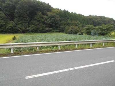 (値下げ) 埼玉県比企郡鳩山町 明覚駅 農地 12万円の国税庁公売物件 #1