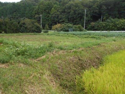 (値下げ) 埼玉県比企郡鳩山町 明覚駅 農地 12万円の国税庁公売物件 #2