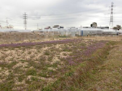 (値下げ) 埼玉県吉川市 江戸川台駅 農地 15万円の国税庁公売物件 #1