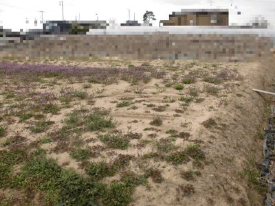 (値下げ) 埼玉県吉川市 江戸川台駅 農地 15万円の国税庁公売物件 #2