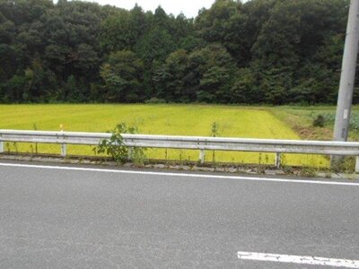 (値下げ) 埼玉県比企郡鳩山町 明覚駅 農地 22万円の国税庁公売物件 #1