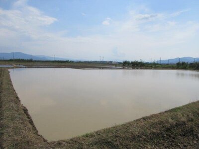 長野県長野市 豊野駅 農地 23万円の国税庁公売物件 #1