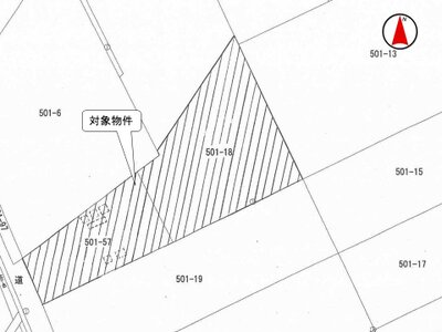 栃木県那須塩原市 西那須野駅 農地 225万円の国税庁公売物件 #3